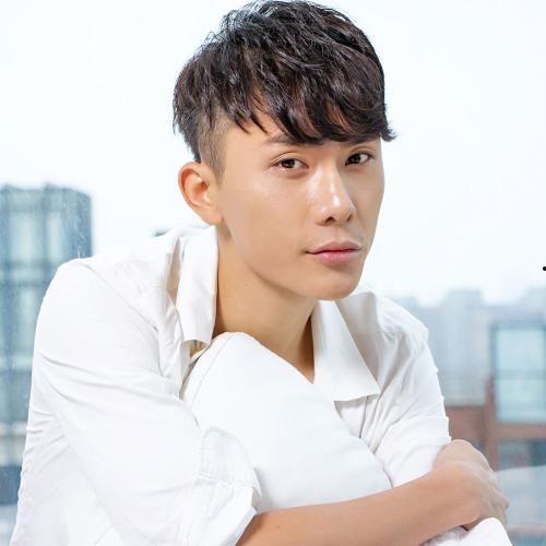 李硕明星,星光璀璨的演艺之路