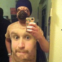 被p过的搞笑照片,那些被恶搞的搞笑照片大盘点