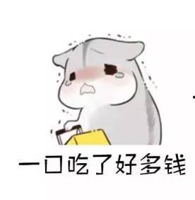 表情包超呆萌的,萌化你的日常，笑出腹肌的瞬间